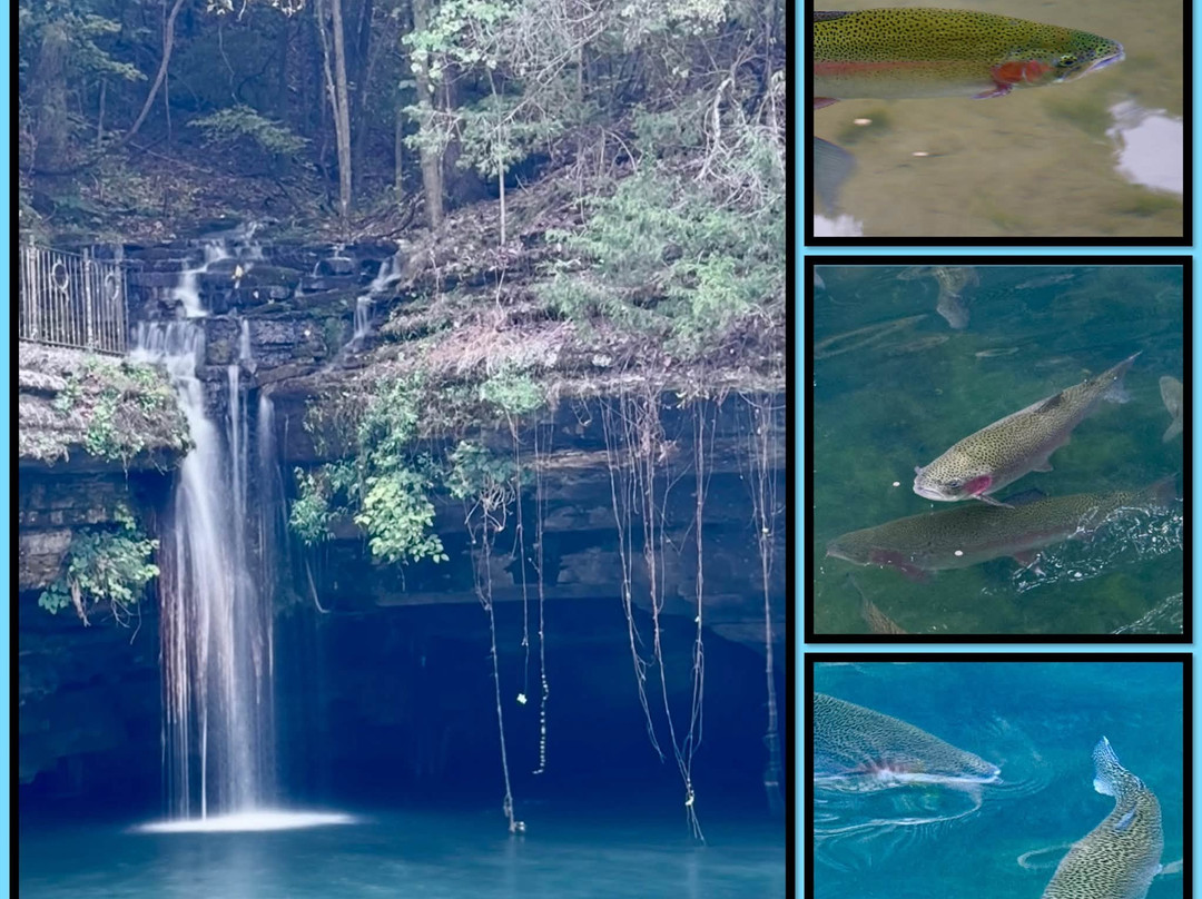 Dogwood Canyon Nature Park-Lampe必去景点