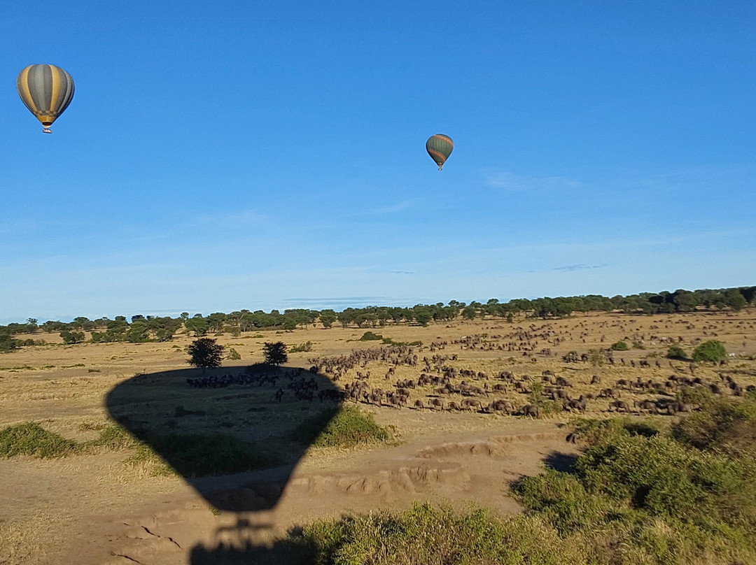 Adventures Aloft Balloon Safari Tanzania-Ikoma必去景点