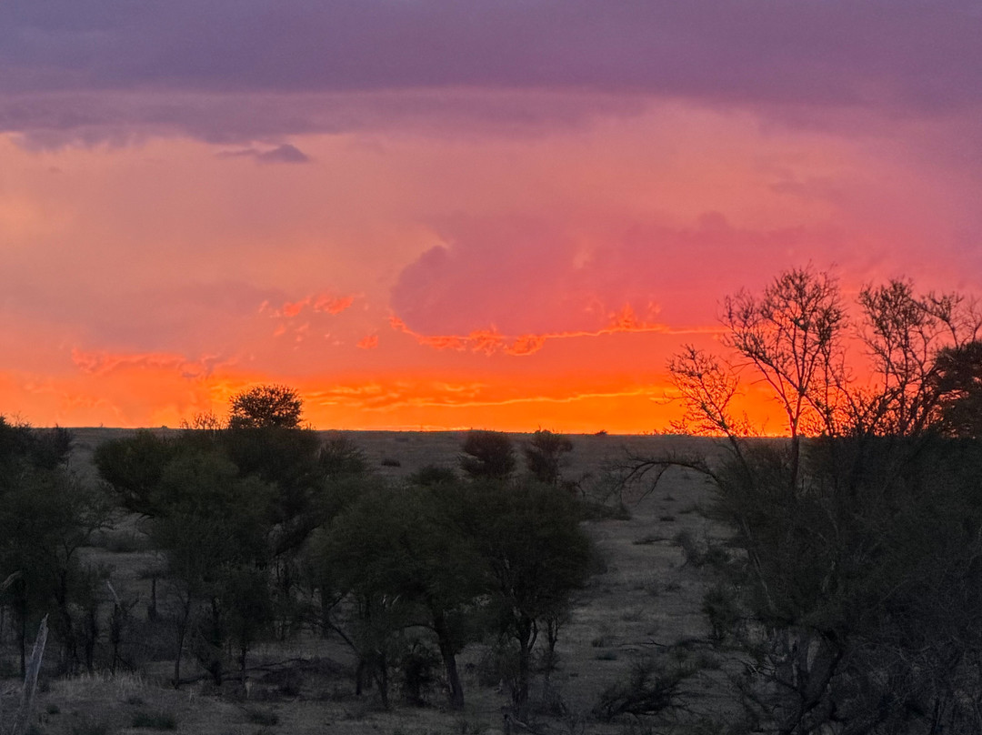 Mbuni Tented Camps-Seronera必去景点