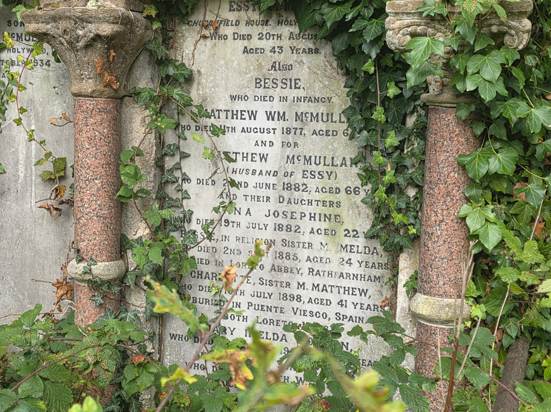 Friar's Bush Graveyard Tours-贝尔法斯特必去景点