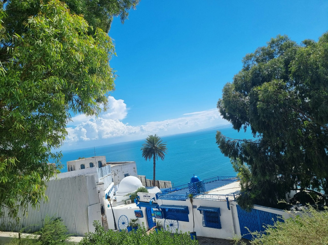 Sidi Bou Said-蓝白小镇必去景点