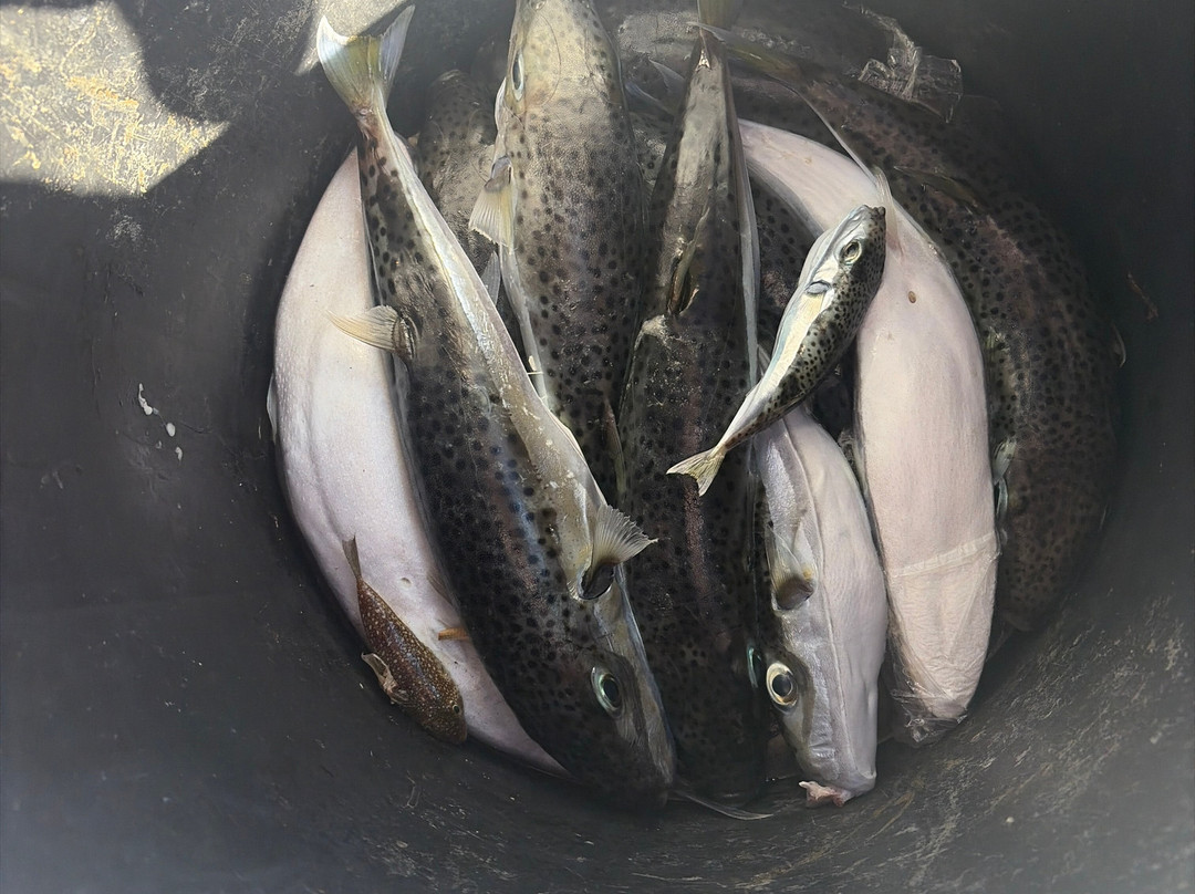 Let's Go Fishing-Pernera必去景点