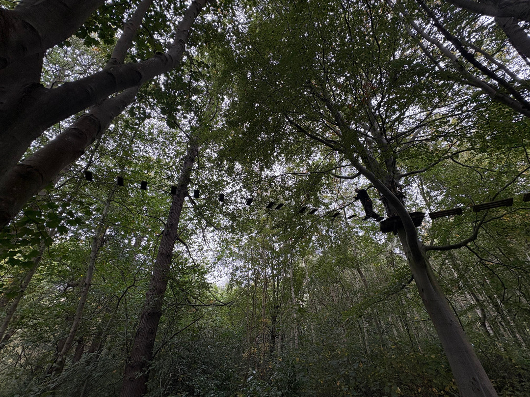 Go Ape Leeds Castle-Leeds必去景点