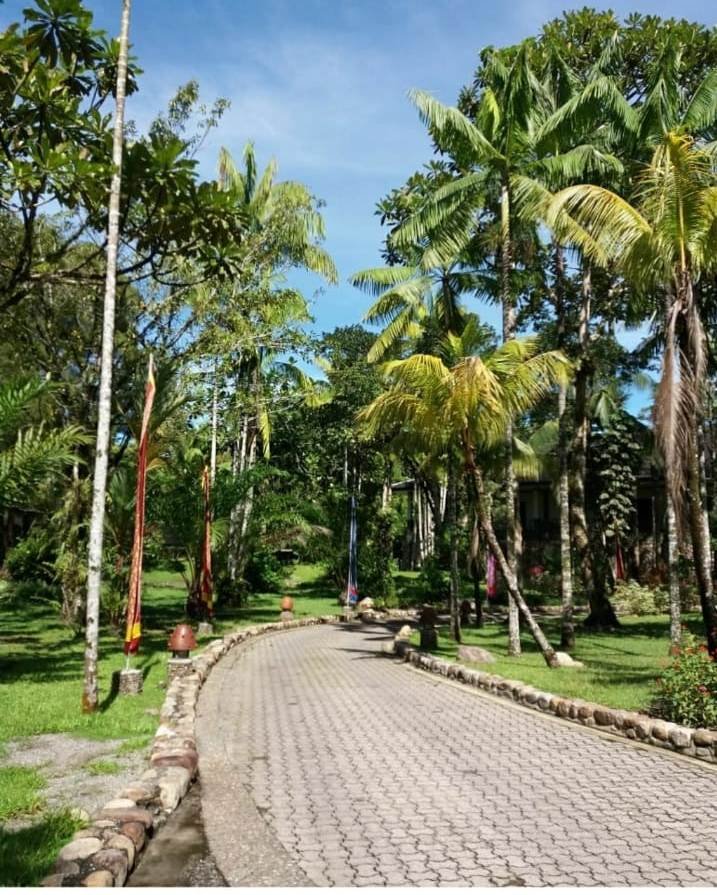 Rimba Papua Hotel-浴室