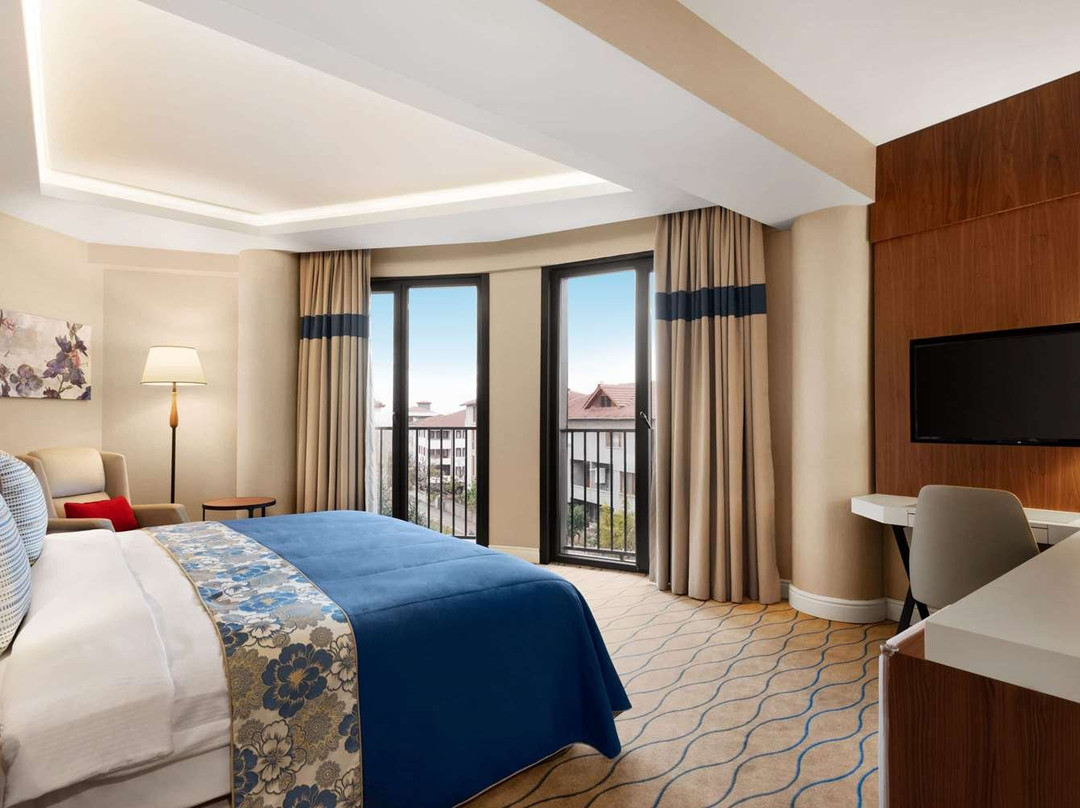 Ramada by Wyndham Sakarya Hendek主图