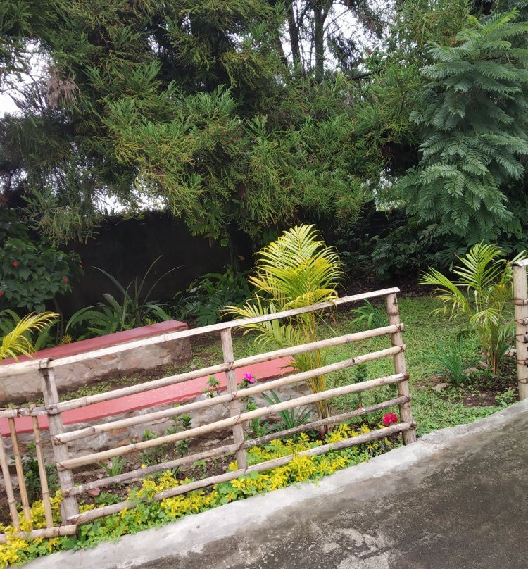Mid Pine Home Stay
