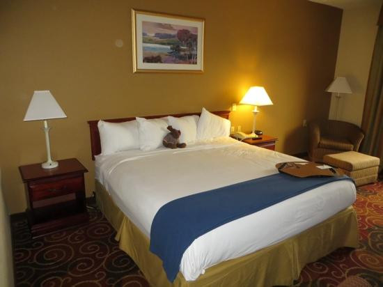 门罗维尔快捷假日酒店