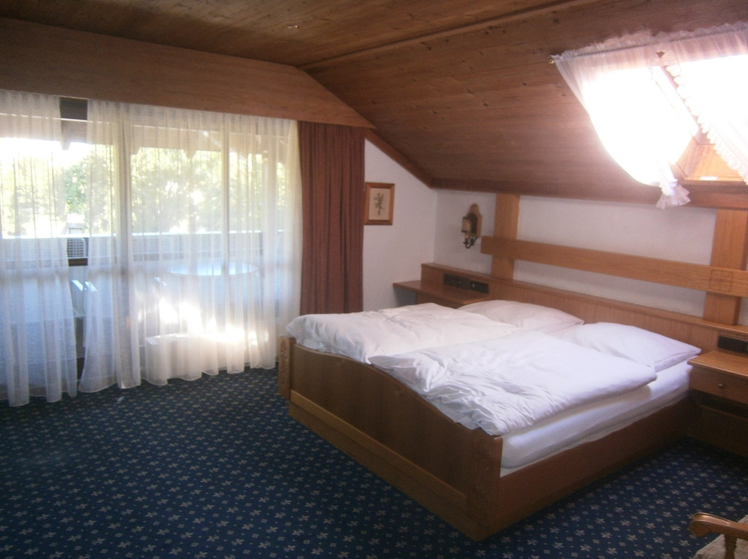 Hagnau酒店住宿-Hotel Alpina