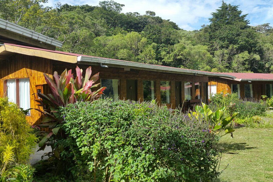 El Bosque Trails & Eco lodge