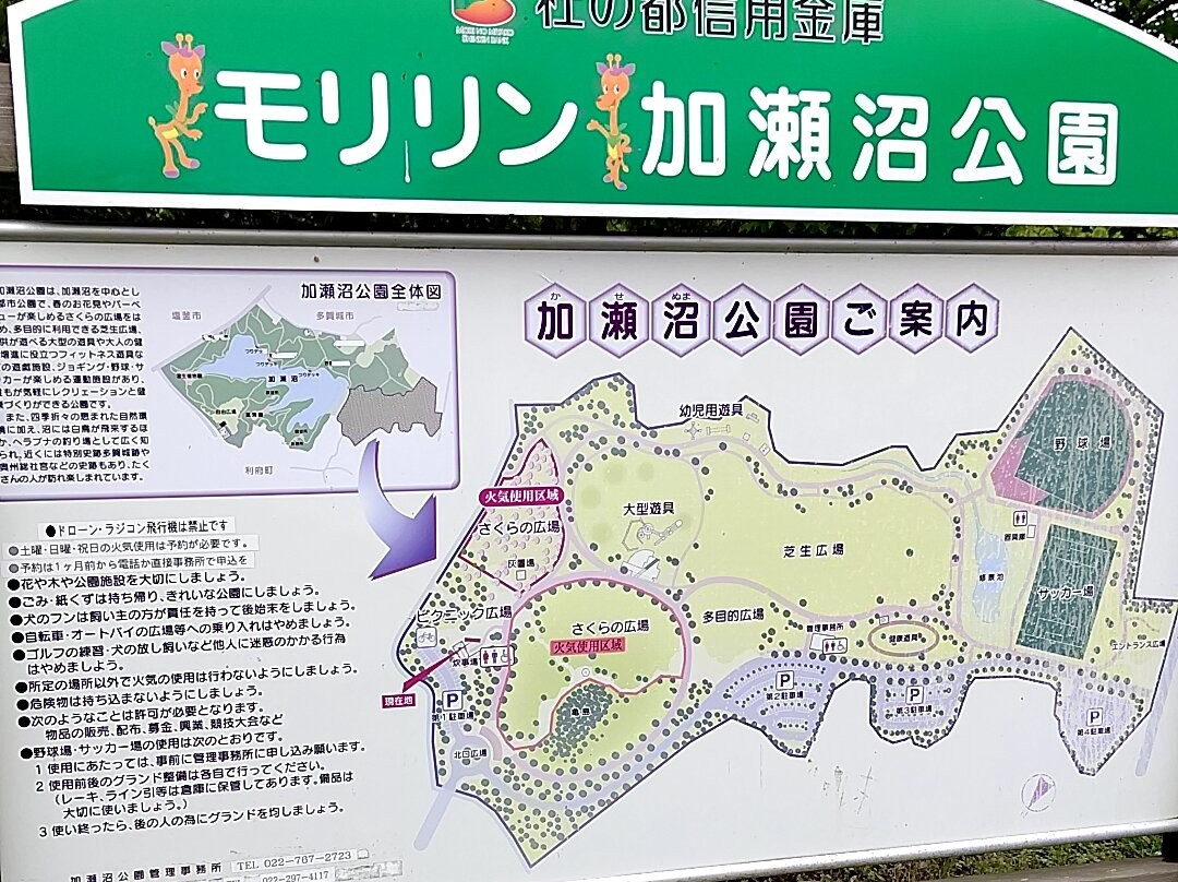 Kasenuma Park