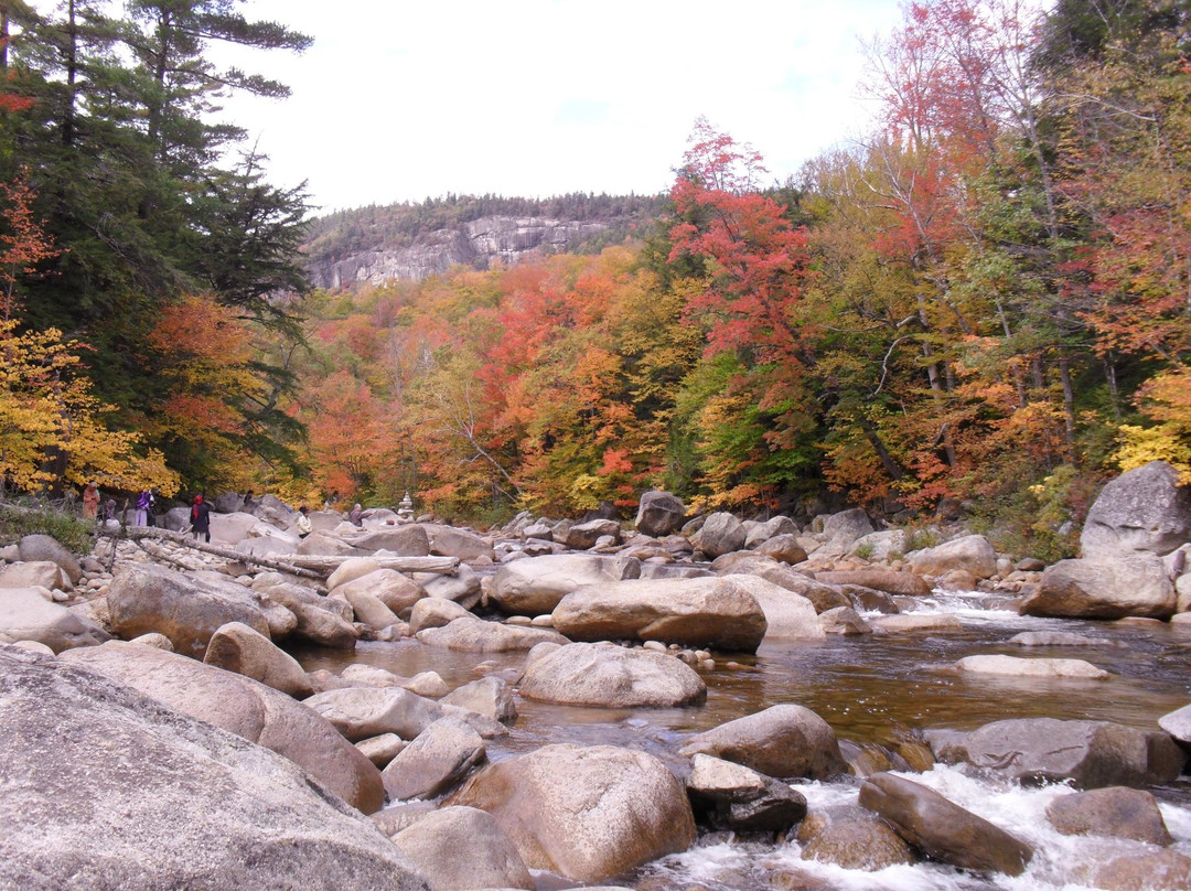 White Mountain National Forest景点图片