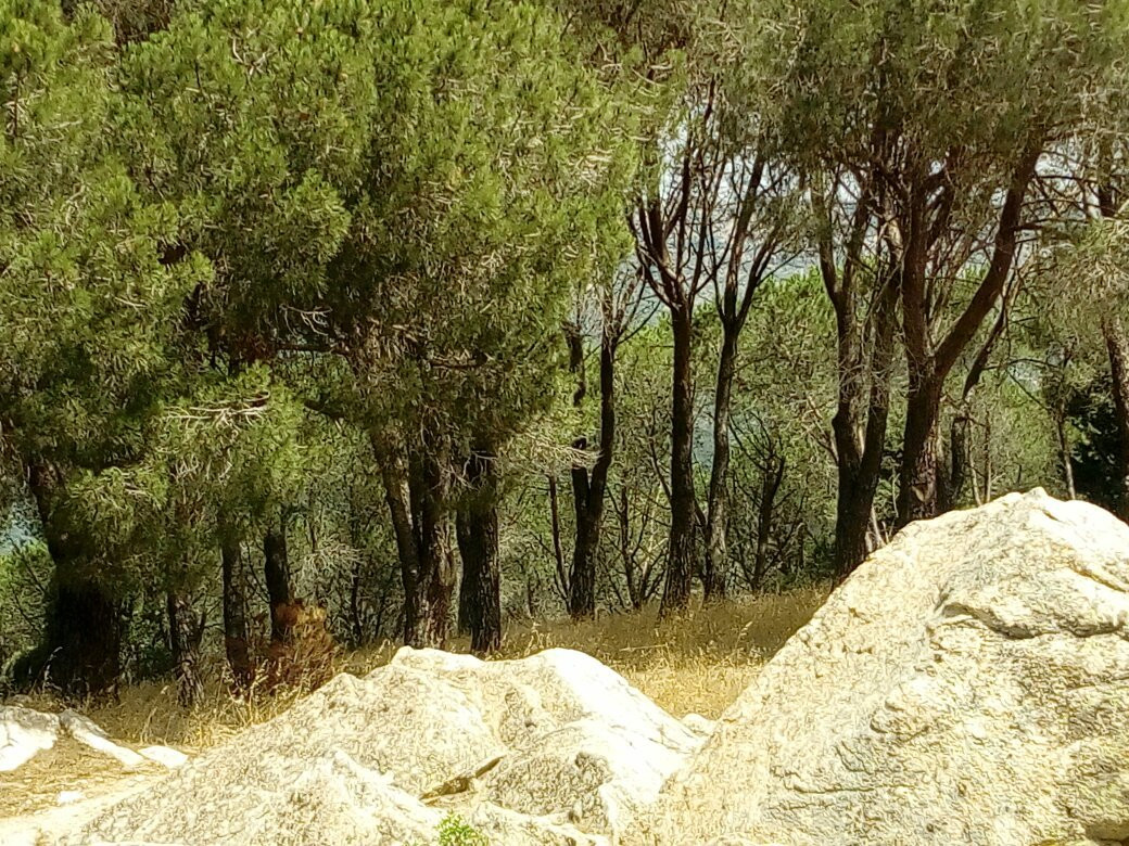 Nuraghe Ugolio景点图片