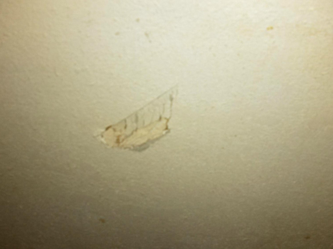 Best Budget Inn Joliet