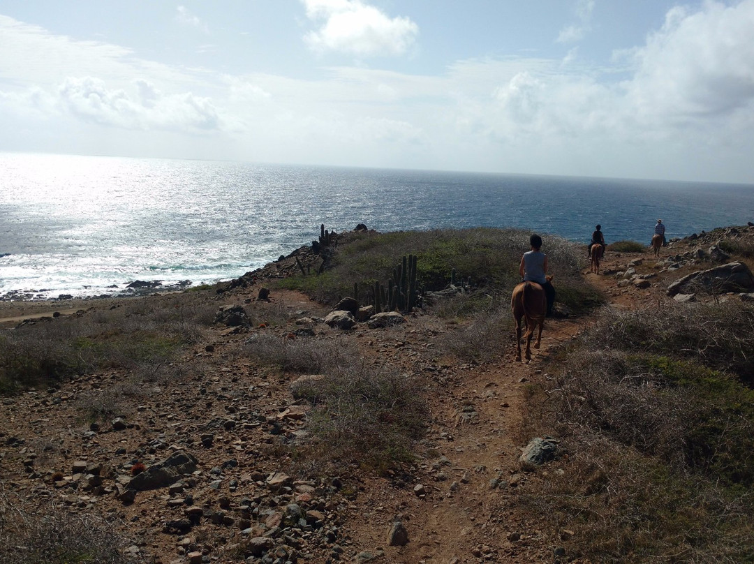 Rancho Notorious Aruba-Noord必去景点