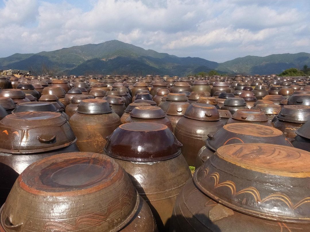 全罗南道旅游景点-Gwangyang Maehwa Village