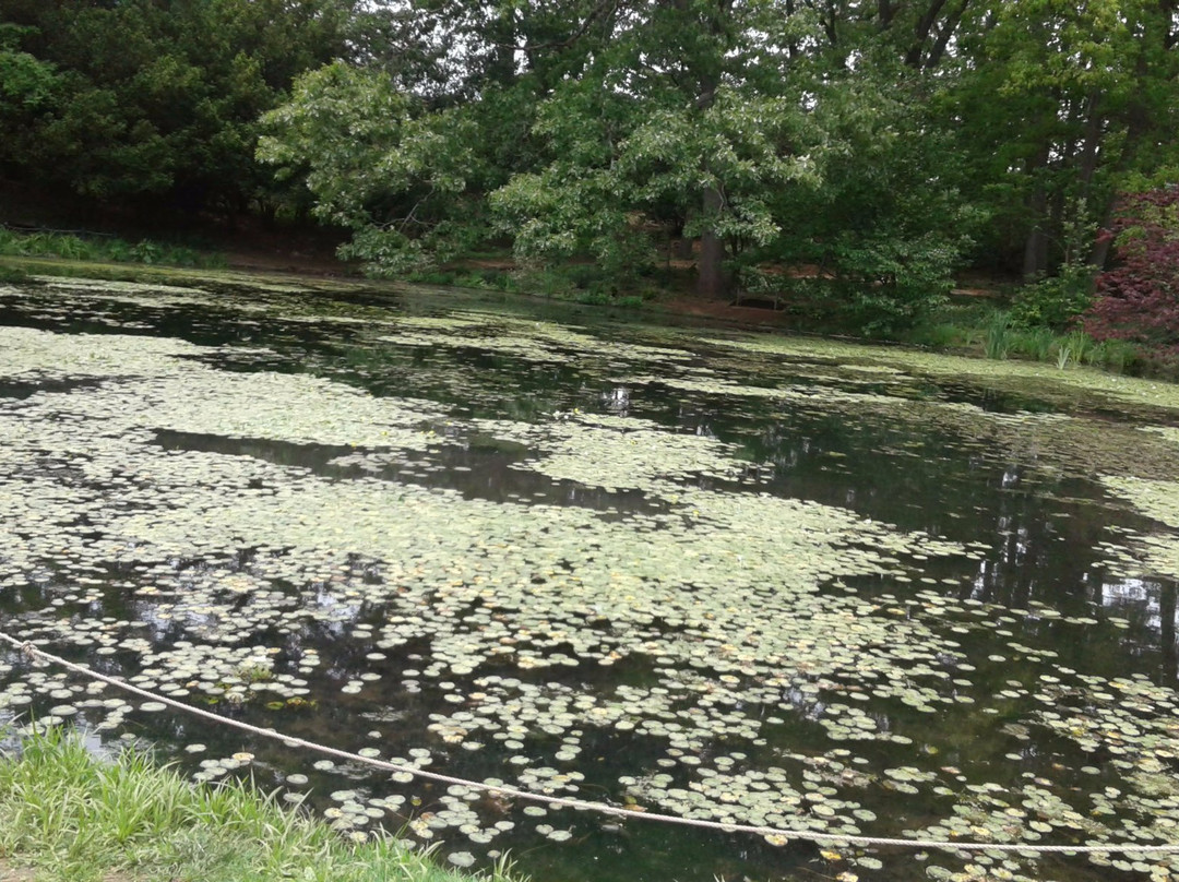 Roslyn Pond Park景点图片