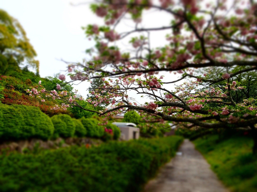 Ryugeji Temple-静冈市必去景点