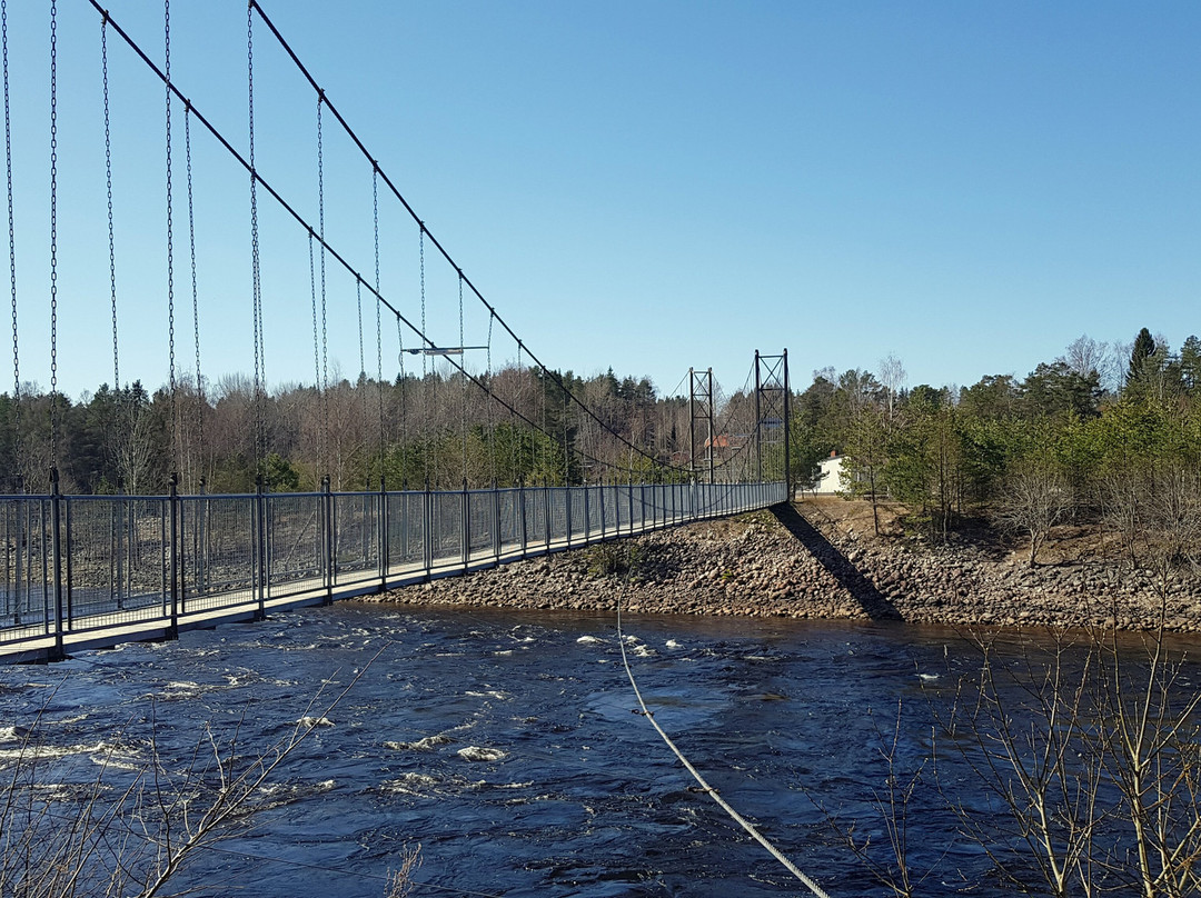 Älvkarleby Laxfiske