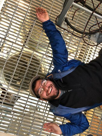 National Bell Festival-华盛顿特区必去景点