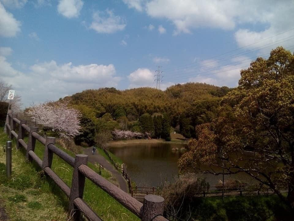 Takada Noseyama Park景点图片