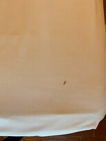 Hotel Montsant主图