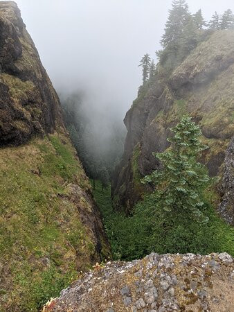 Saddle Mountain State Natural Area-锡赛德必去景点