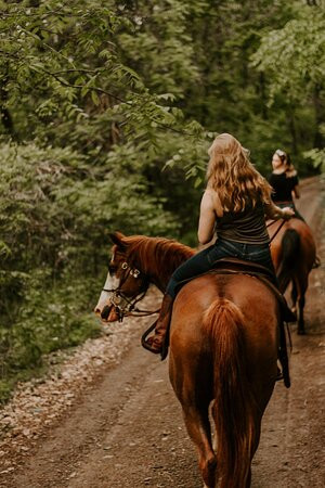 Mountaintop Ranch Wilderness Trail Rides-Elkton必去景点