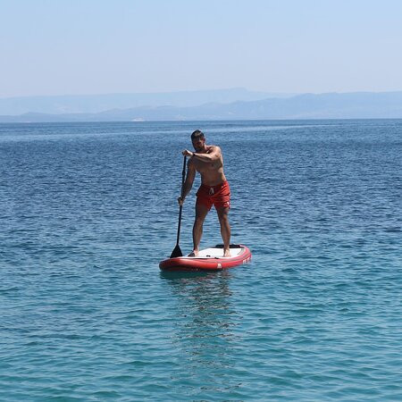 Navigator - Day Tours-维斯必去景点