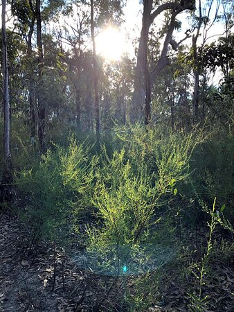 Warrimoo Lookout-Warrimoo必去景点