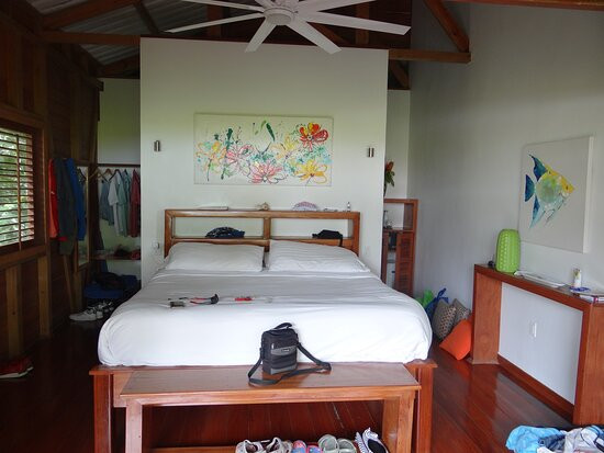 The Hummingbird主图