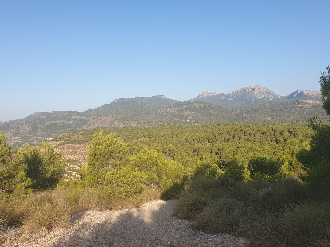 Sierra De La Muela景点图片