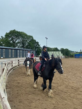 Boskill Equestrian Centre v94 yv83-Caherconlish必去景点