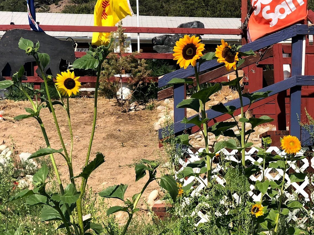 Black Bear RV Park & Resort主图