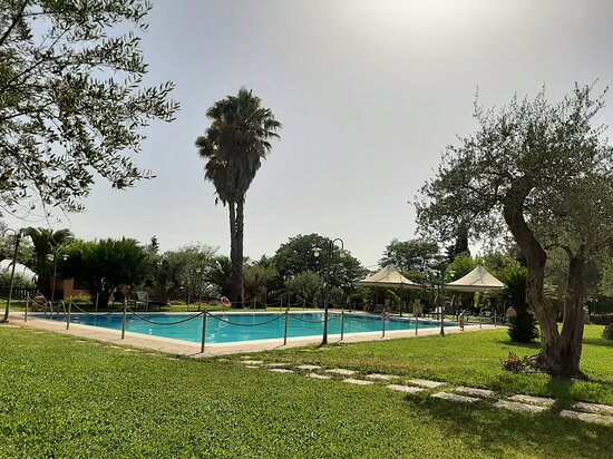 Agriturismo Il Drago-泳池