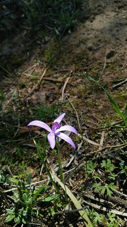 Christmas Rock Walk Trail-Wongan Hills必去景点