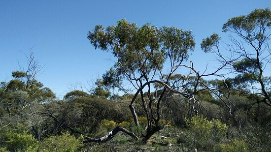 Christmas Rock Walk Trail-Wongan Hills必去景点