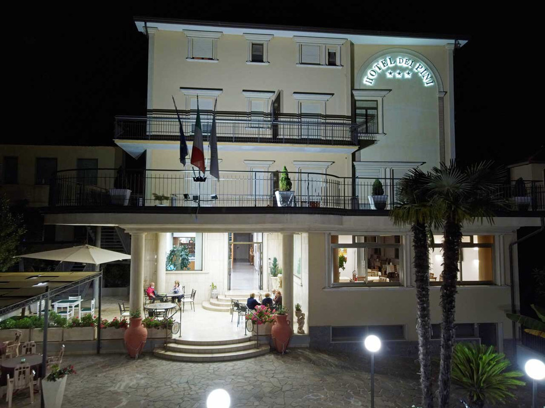 Hotel Dei Pini主图