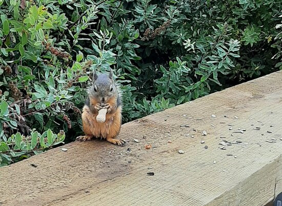 Campbell Valley Regional Park-兰里市必去景点