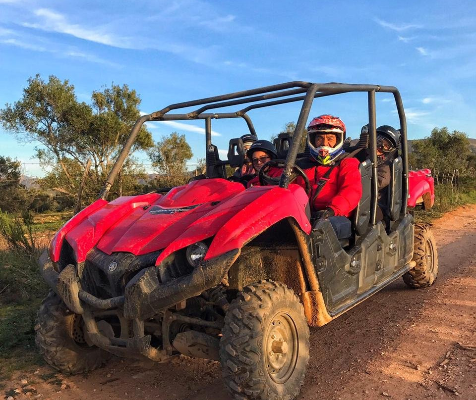 Off Road Tours Valle De Guadalupe-Ejido El Porvenir必去景点