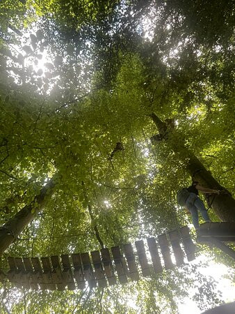 Ecopark Adventures Penzé-Taule必去景点