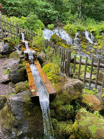 名水公园景点图片