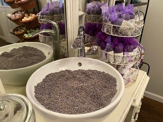 Southern Grace Lavender Farm景点图片