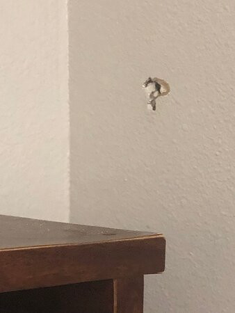 Days Inn by Wyndham Americus主图