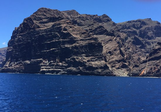 Neptuno Whale Experience Tenerife景点图片