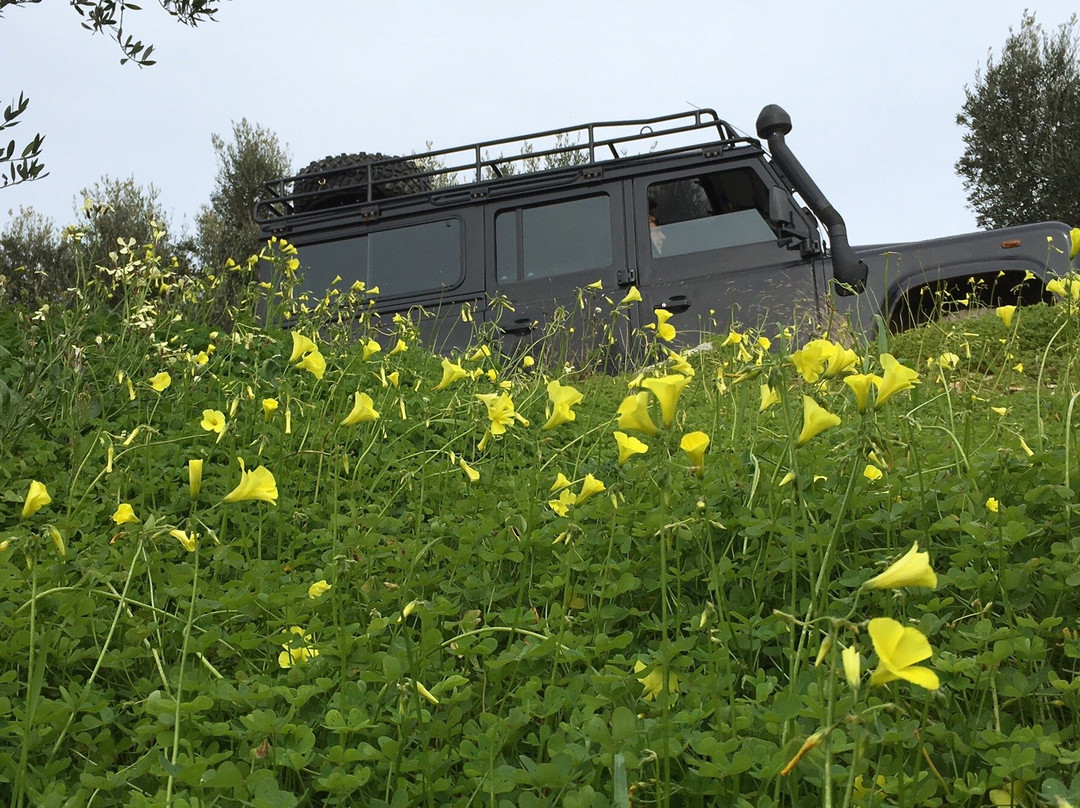 "Uncharted Escapes"-雷斯蒙必去景点