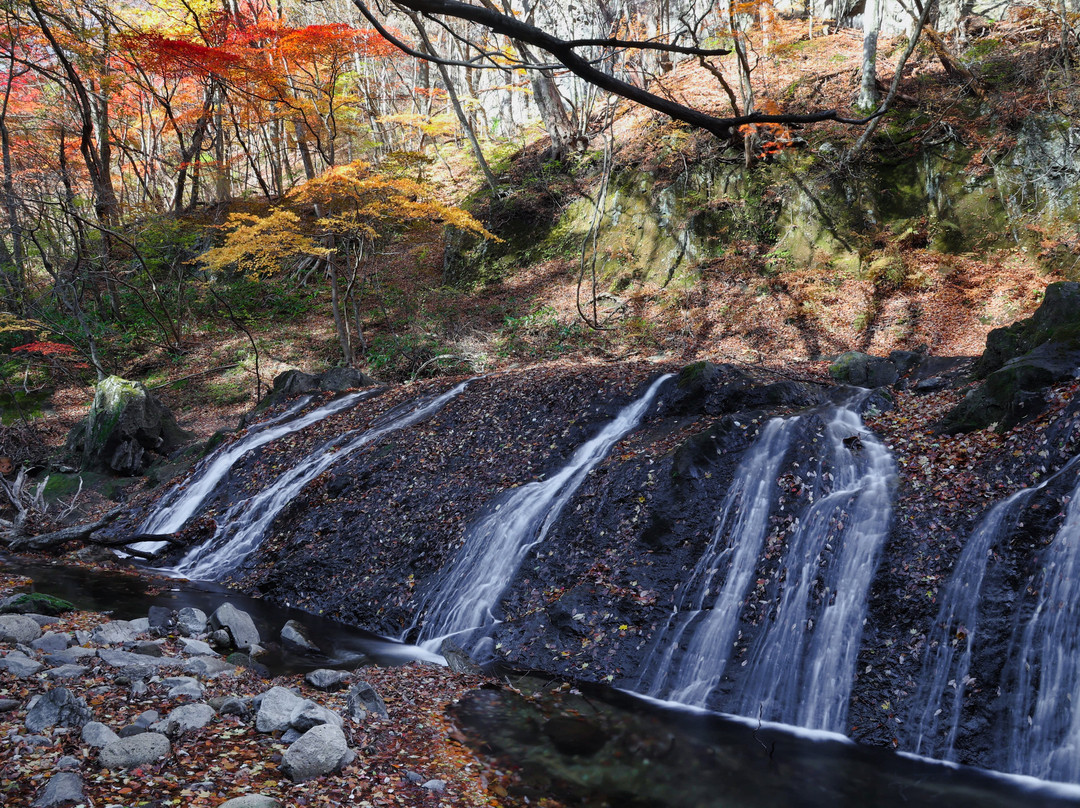 Taishin Fudo Water Fall景点图片