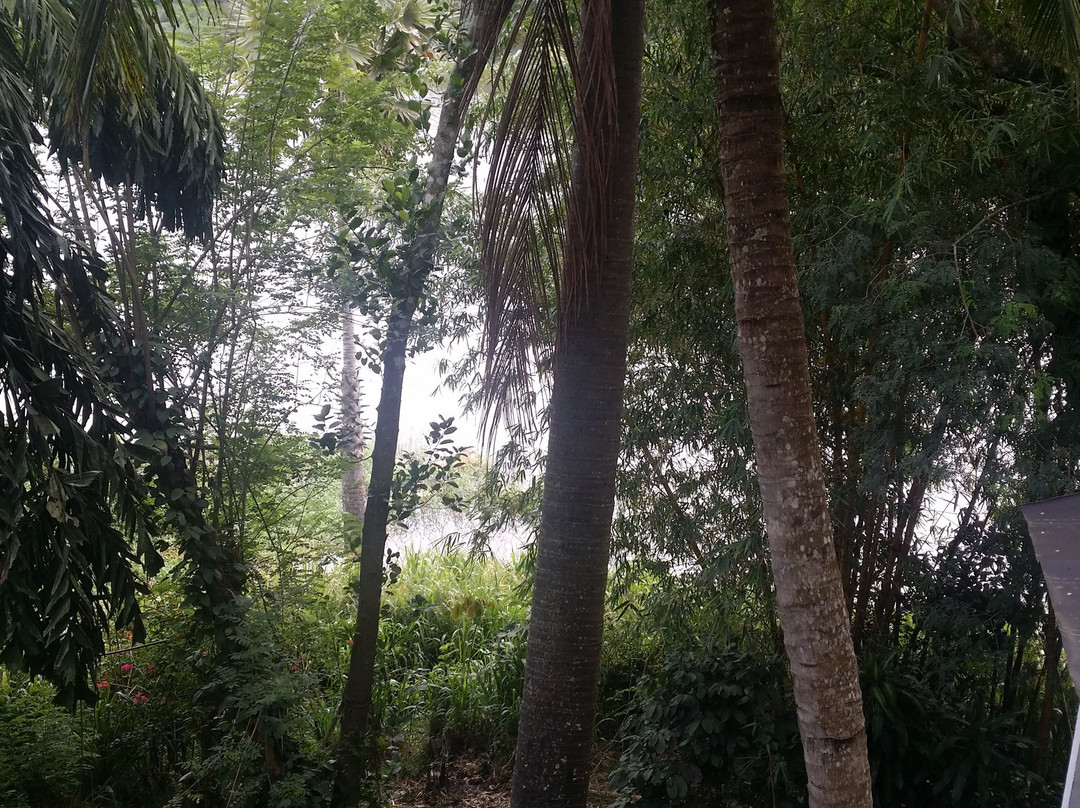 Wow Sri Lanka Tours-康提必去景点