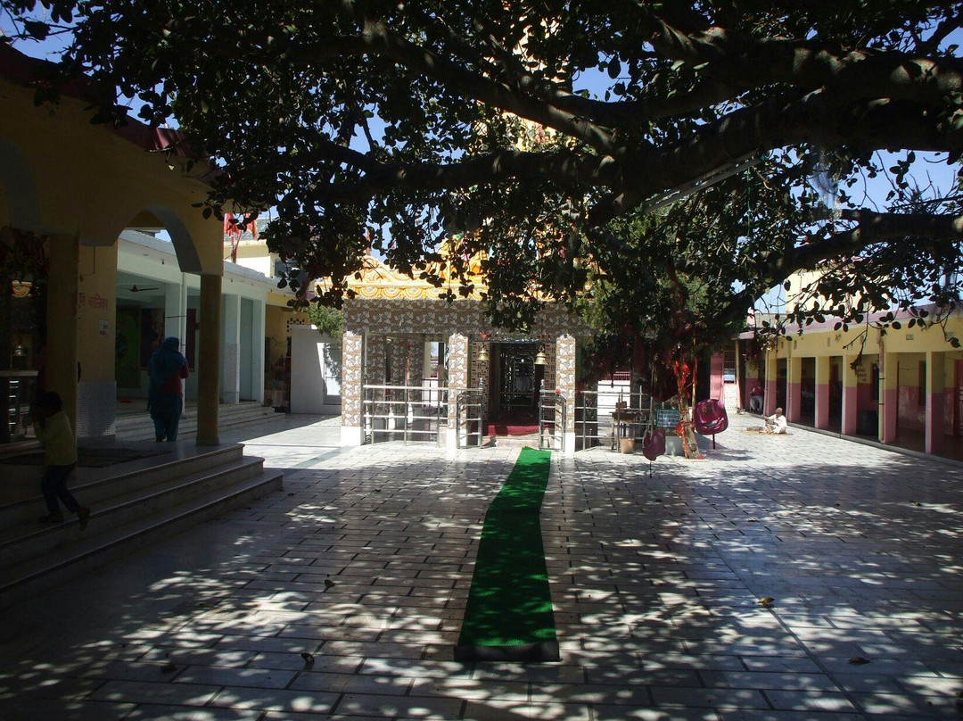 Sheetla Devi Temple景点图片