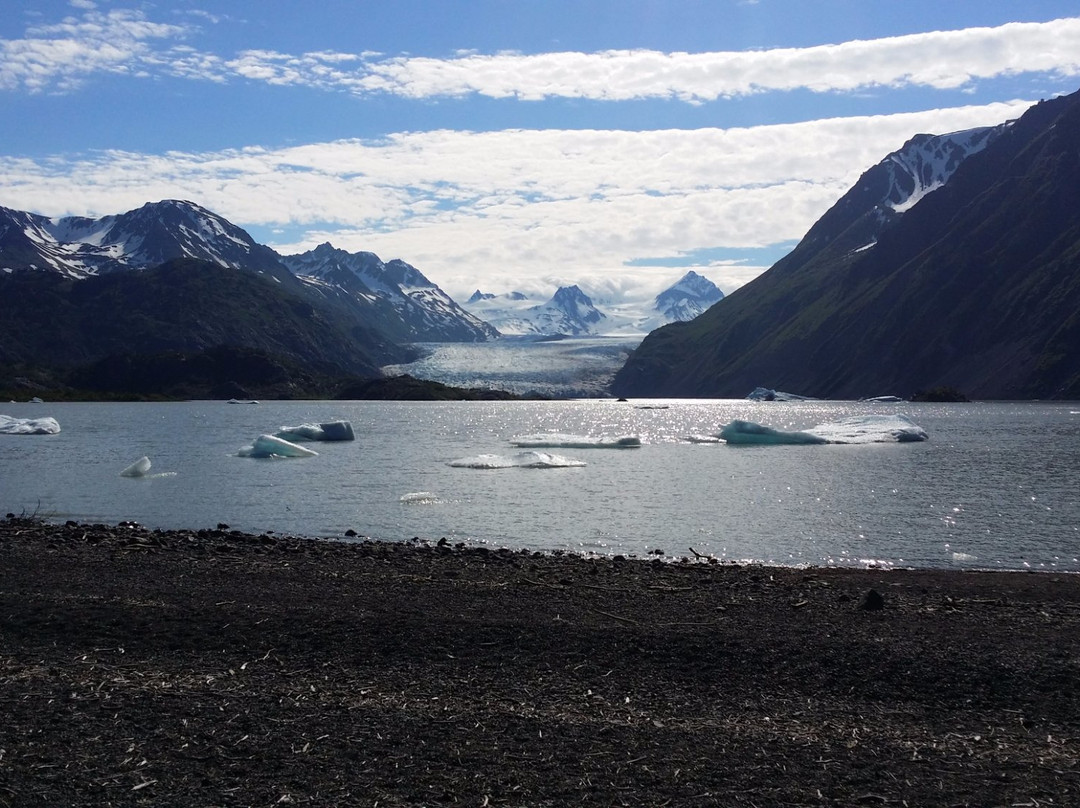 Halibut Cove旅游攻略图片