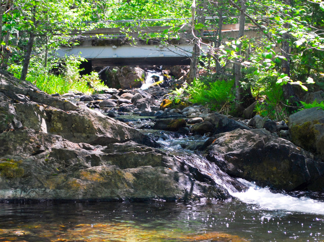 Sierra Discovery Trail